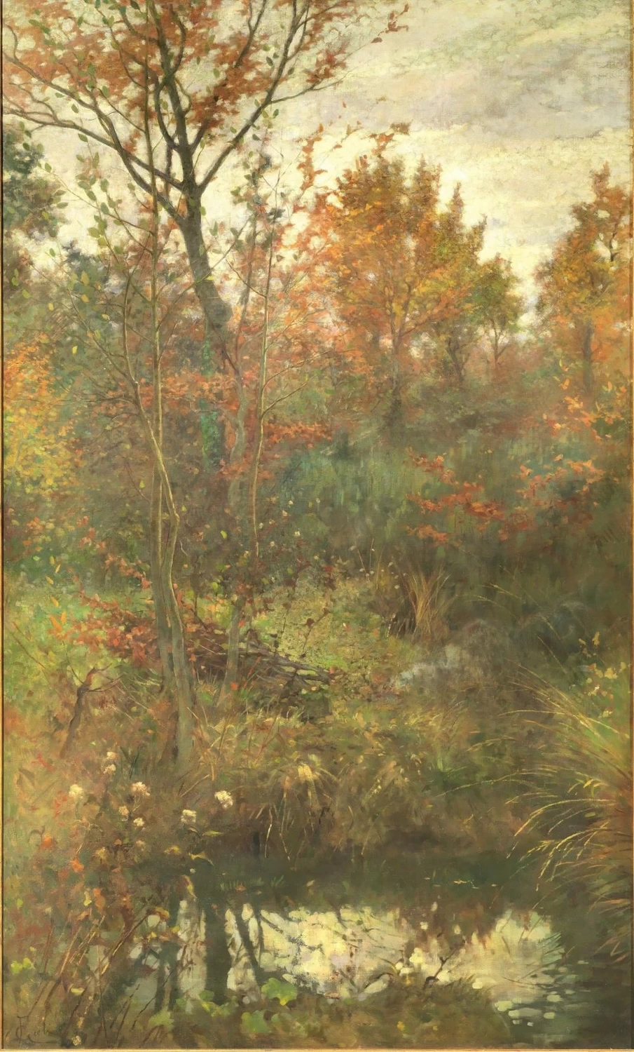 Nel bosco